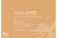 RitzRecruitment (4)